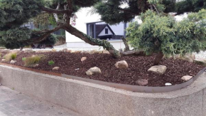 Ferienwohnung Lotti mit Wallbox